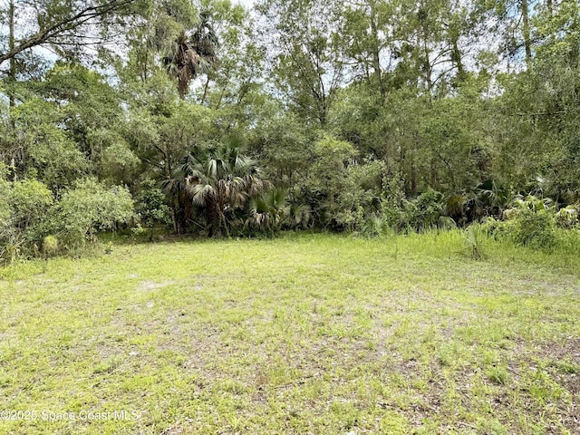 25302 Mathew St, Christmas, FL 32709 - photo 6