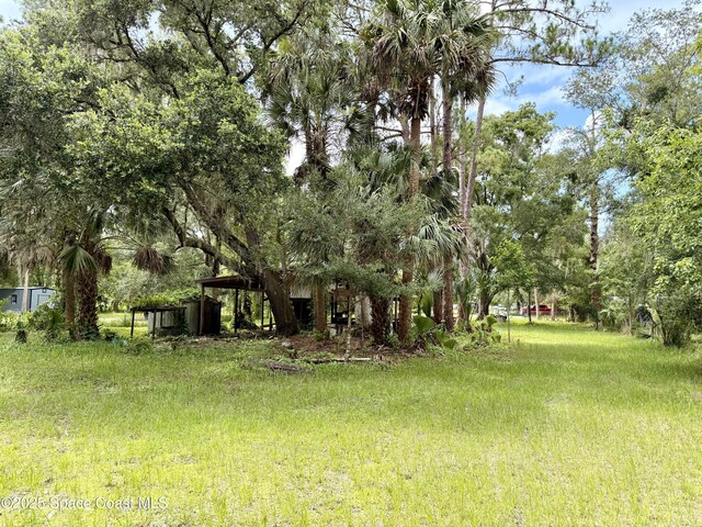 25302 Mathew St, Christmas, FL 32709 - photo 7