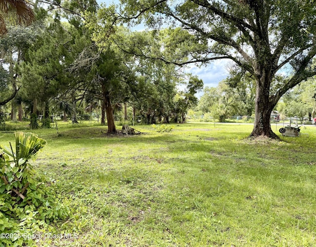 25302 Mathew St, Christmas, FL 32709 - photo 4