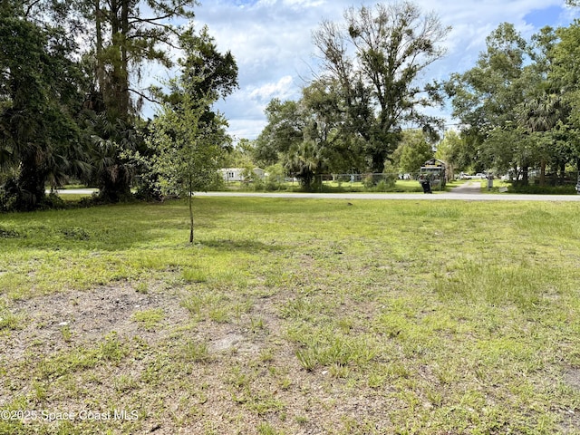 25302 Mathew St, Christmas, FL 32709 - photo 3
