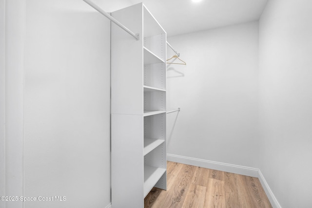 494 Fernandina St NW, Palm Bay, FL 32907 - spacious closet with light wood-style floors