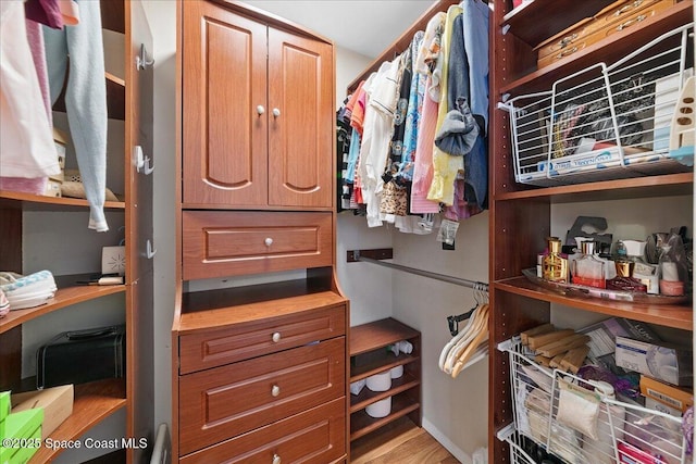 2975 Matthew Dr, Rockledge, FL 32955 - walk in closet featuring light wood finished floors