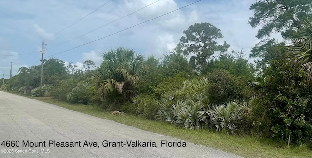 4660 Mount Pleasant Ave, Grant-Valkaria, FL 32949 - photo 1