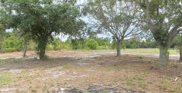 4660 Mount Pleasant Ave, Grant-Valkaria, FL 32949 - photo 2
