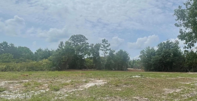 4660 Mount Pleasant Ave, Grant-Valkaria, FL 32949 - photo 3