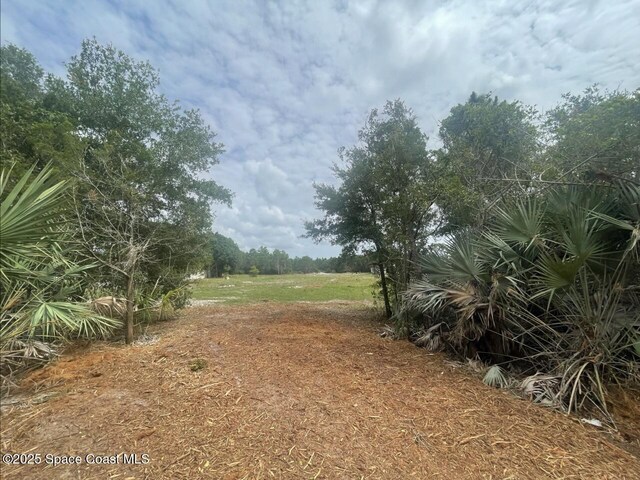 4660 Mount Pleasant Ave, Grant-Valkaria, FL 32949 - photo 6