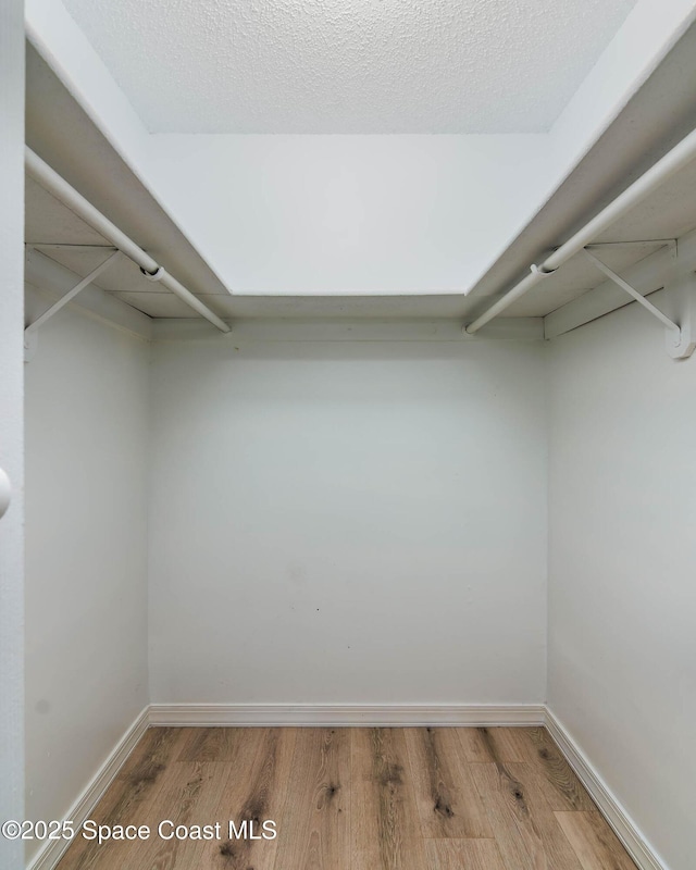 1384 Vancouver Ave SE, Palm Bay, FL 32909 - spacious closet featuring light wood-style floors
