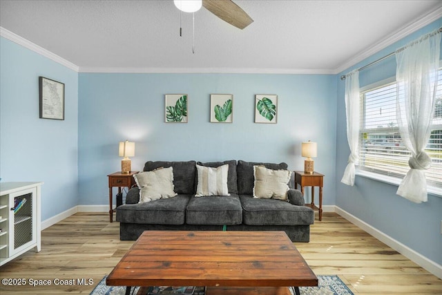 513 Ronnie Dr, Indian Harbour Beach, FL 32937 - living room with crown molding, light wood-type flooring, and ceiling fan