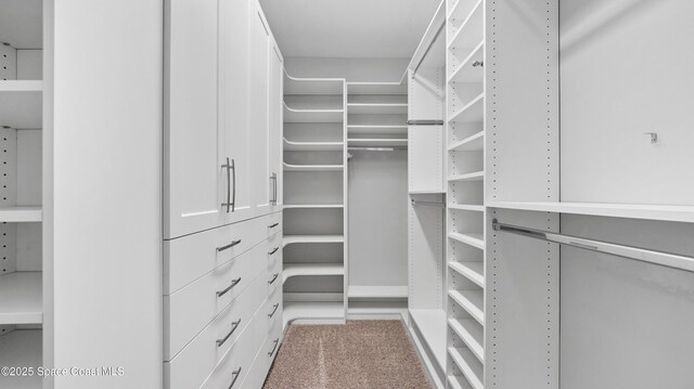 3110 Addison Dr, Melbourne, FL 32940 - walk in closet with carpet floors