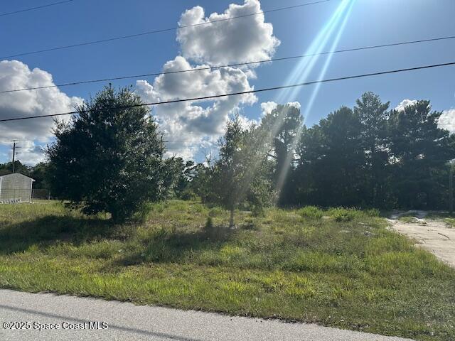 4140 Royal Palm Ave, Cocoa, FL 32926 - photo 2