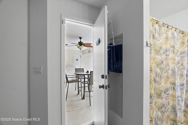 934 Bermuda Ave, Sebastian, FL 32958 - photo 23