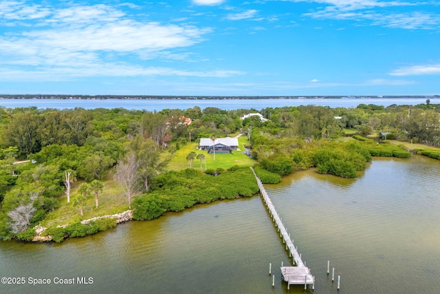 9605 S Tropical Trl, Merritt Island, FL 32952 - photo 55