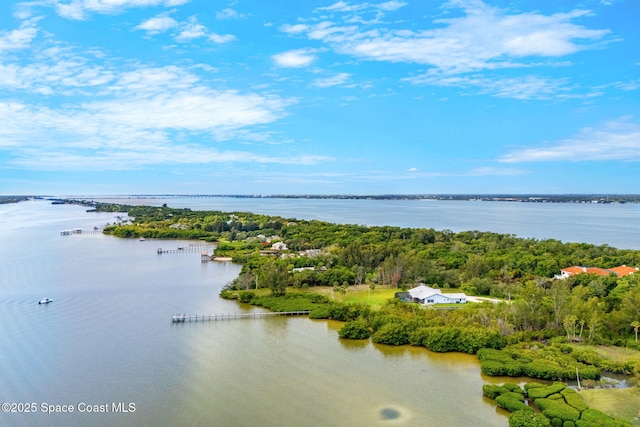 9605 S Tropical Trl, Merritt Island, FL 32952 - photo 57