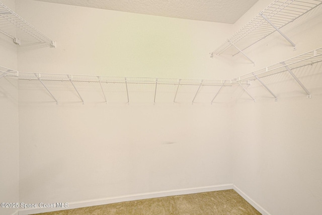 5408 Hallamshire Blvd, Titusville, FL 32780 - photo 21