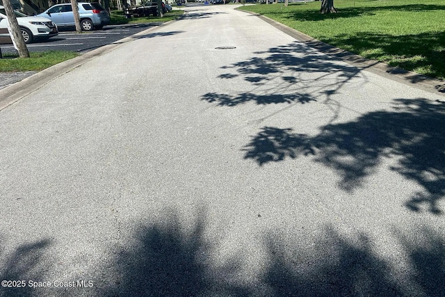96 Tomoka Meadows Blvd, Ormond Beach, FL 32174 - view of asphalt road with curbs