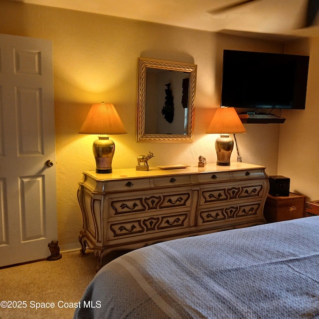 1255 S State Road 415, New Smyrna Beach, FL 32168 - photo 57