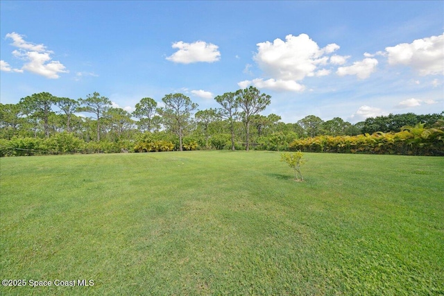 6190 Brabrook Ave, Grant, FL 32949 - view of green lawn featuring view of scattered trees