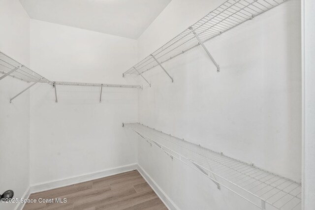 6461 Borasco Dr Unit 3808, Melbourne, FL 32940 - walk in closet with light wood-style flooring