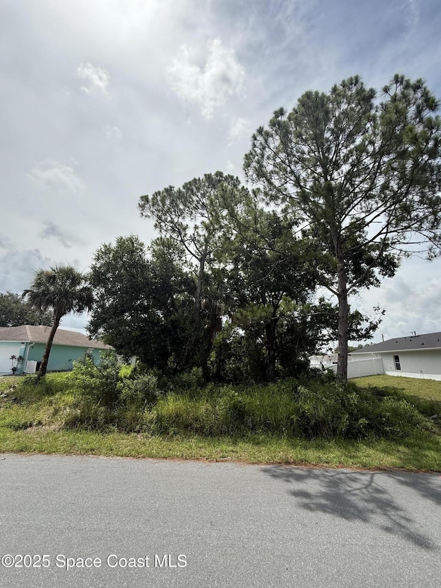 1060 Tetzel St SE, Palm Bay, FL 32909 - photo 5
