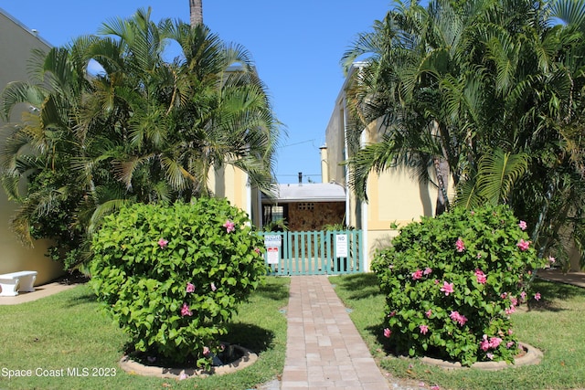 350 Taylor Ave Unit 11B2, Cape Canaveral, FL 32920 - view of yard
