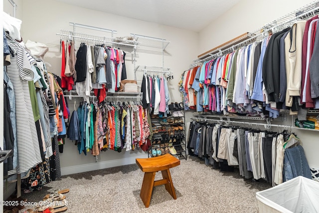 4014 Preservation Cir, Melbourne, FL 32934 - walk in closet with carpet flooring