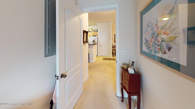 6461 Borasco Dr Unit 1805, Melbourne, FL 32940 - corridor featuring light carpet