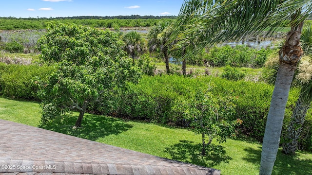 4211 Timothy Dr, Merritt Island, FL 32953 - photo 42