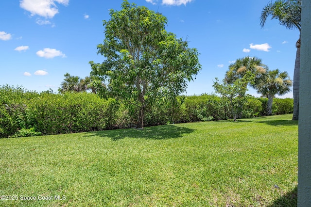 4211 Timothy Dr, Merritt Island, FL 32953 - photo 36