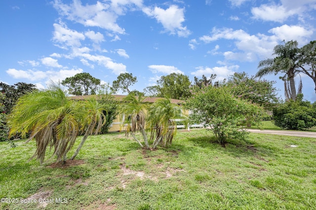 957 Stage St SE, Palm Bay, FL 32909 - view of green lawn