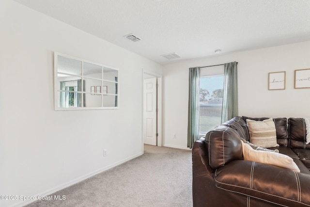 982 Pyracantha St NW, Palm Bay, FL 32907 - living area with carpet flooring and baseboards