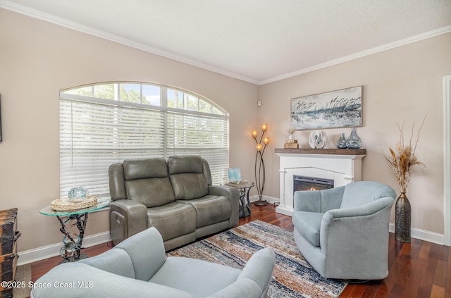 1510 Gardenton St NW, Palm Bay, FL 32907 - living room featuring a lit fireplace, crown molding, and wood finished floors
