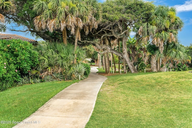 172 Whaler Dr, Melbourne Beach, FL 32951 - surrounding community with a yard