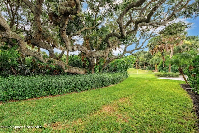 172 Whaler Dr, Melbourne Beach, FL 32951 - view of grassy yard