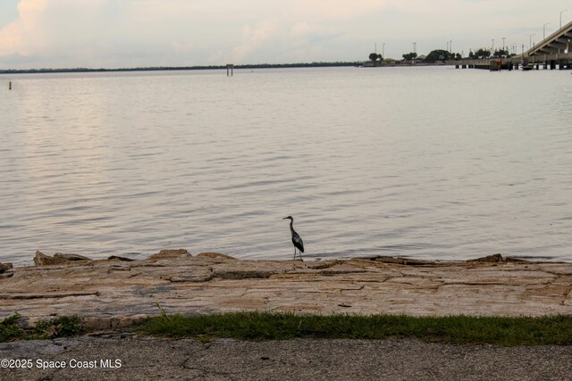 3565 Sable Palm Ln Unit G, Titusville, FL 32780 - photo 37
