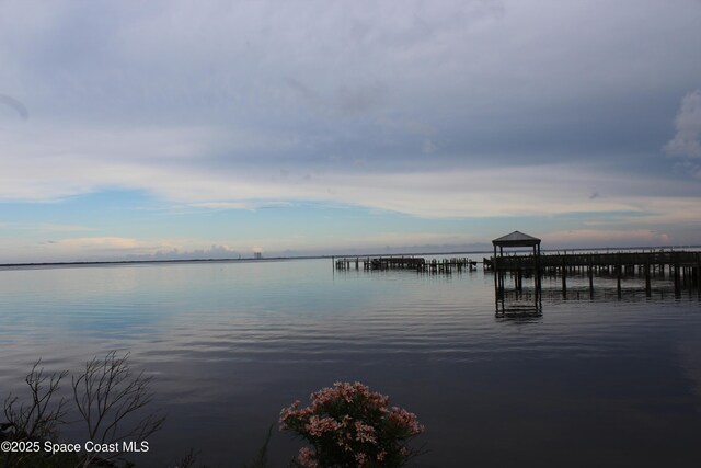 3565 Sable Palm Ln Unit G, Titusville, FL 32780 - photo 59