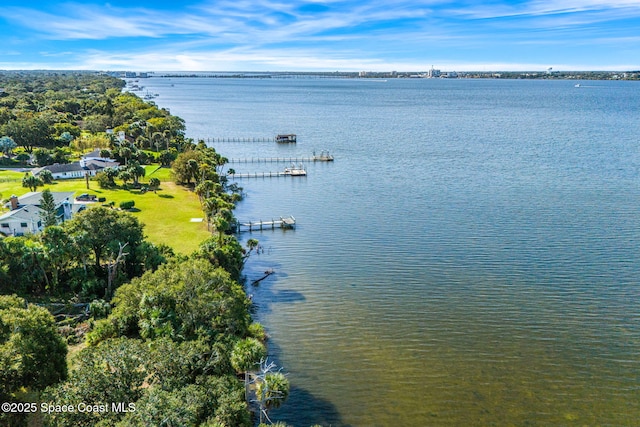 1405 N Tropical Trl, Merritt Island, FL 32953 - photo 14