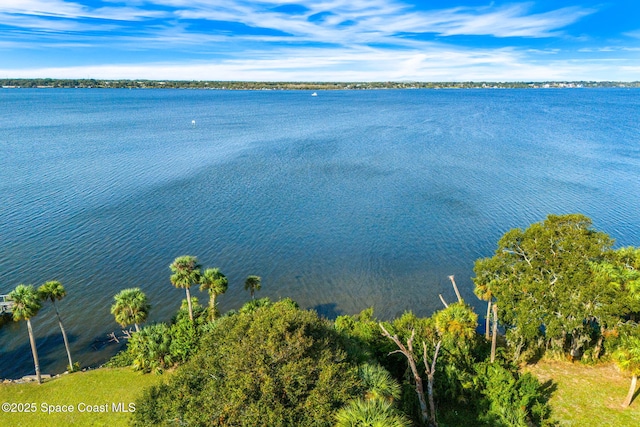 1405 N Tropical Trl, Merritt Island, FL 32953 - photo 15