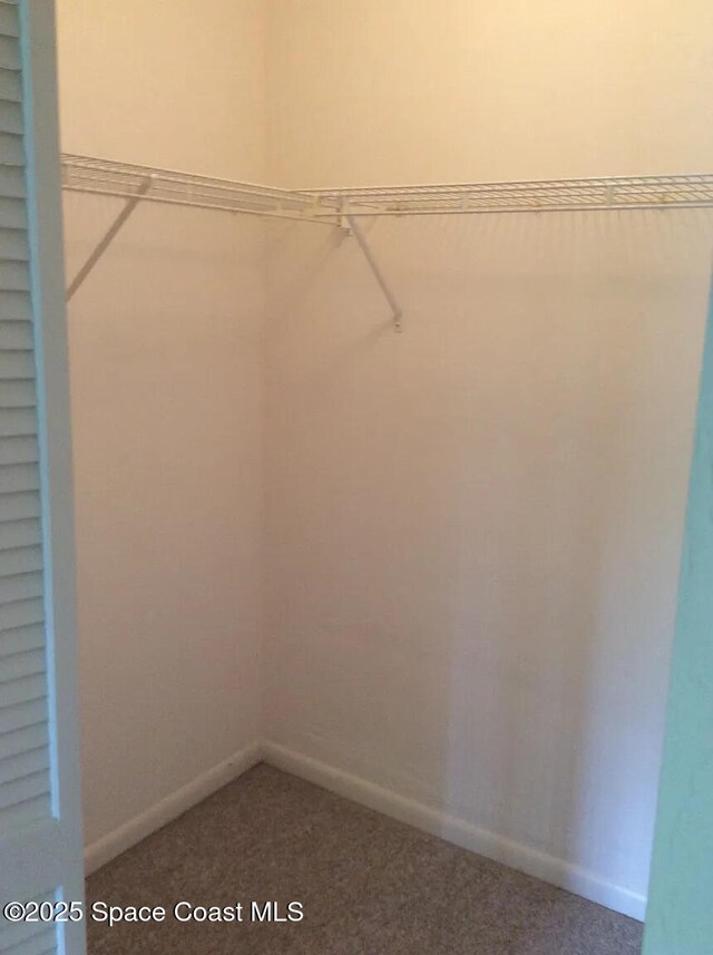 33 Kings Colony Ct, Palm Coast, FL 32137 - walk in closet featuring carpet