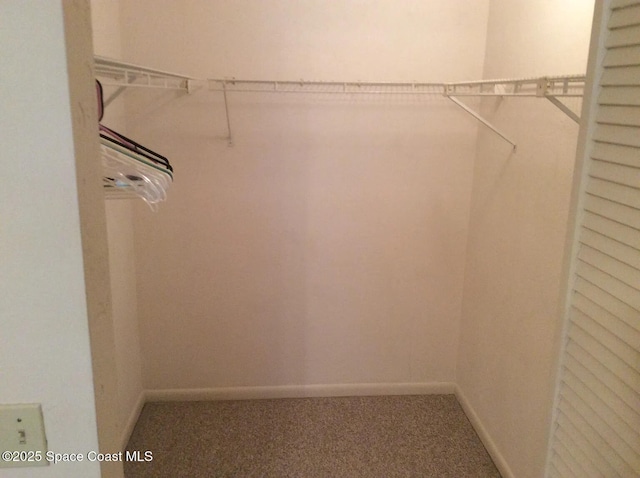 33 Kings Colony Ct, Palm Coast, FL 32137 - spacious closet with carpet floors