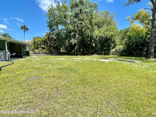 316 Bay Ave, Cocoa, FL 32922 - view of grassy yard