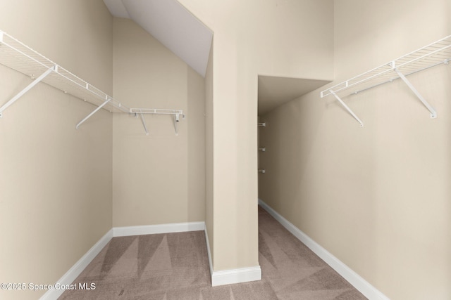 2032 Elkins Pt, Melbourne, FL 32935 - spacious closet with carpet floors