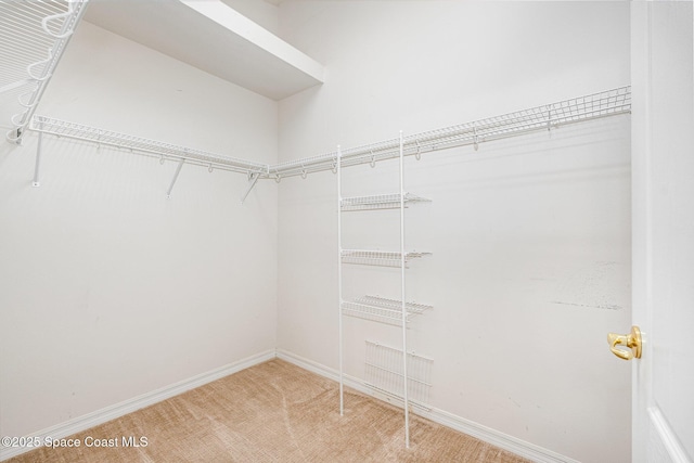 1713 Keys Gate Dr, Melbourne, FL 32940 - walk in closet with light carpet
