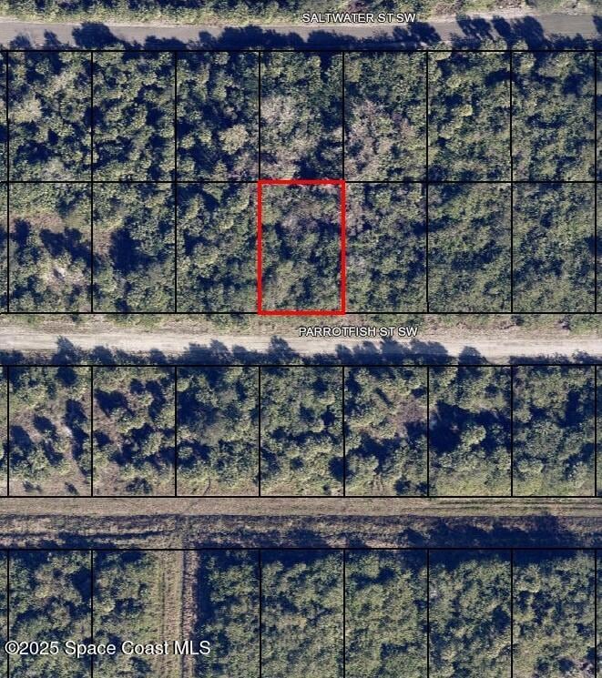677 Parrotfish St SW, Palm Bay, FL 32908 - photo 1