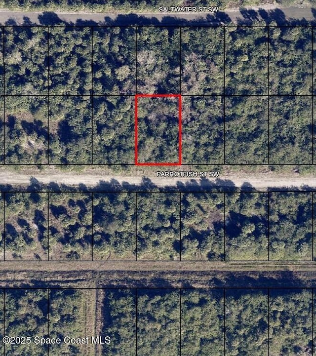 677 Parrotfish St SW, Palm Bay, FL 32908 - photo 1