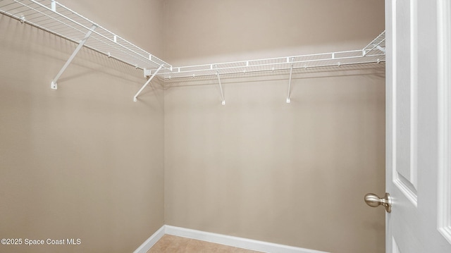 1448 Attilburgh Blvd, West Melbourne, FL 32904 - view of walk in closet