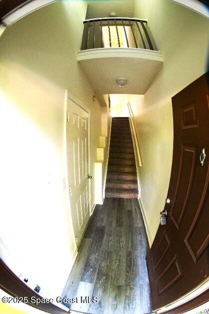 1070 Bella Vista Blvd Unit 110, Saint Augustine, FL 32084 - stairs with wood finished floors and a high ceiling