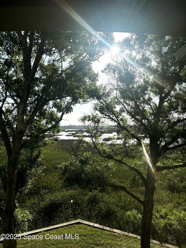 1070 Bella Vista Blvd Unit 110, Saint Augustine, FL 32084 - view of yard