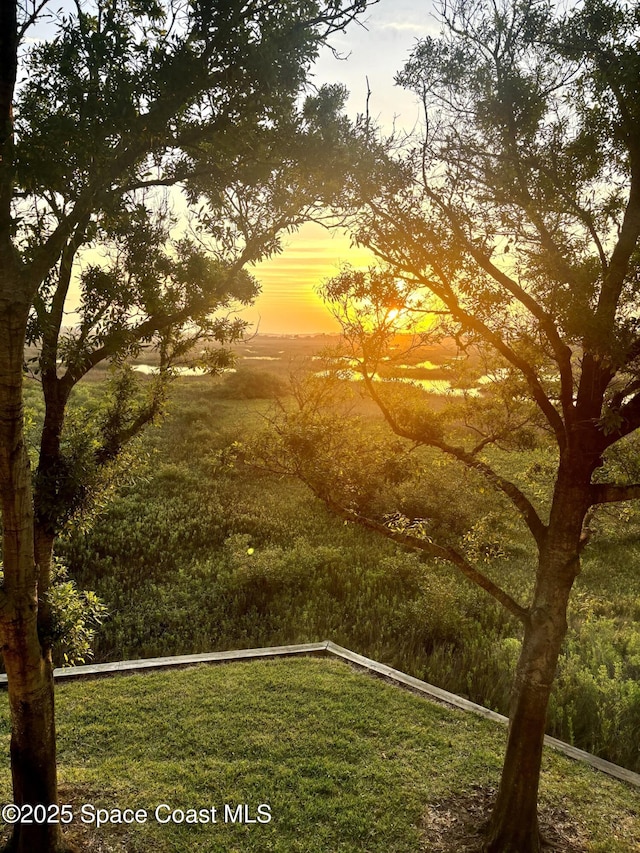 1070 Bella Vista Blvd Unit 110, Saint Augustine, FL 32084 - view of yard