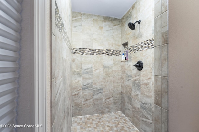 1249 Coosa Ave NE, Palm Bay, FL 32907 - full bathroom with tiled shower