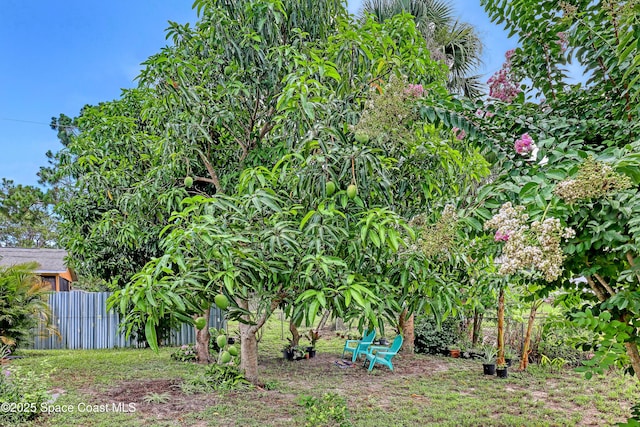 1637 Kanabec Ave NW, Palm Bay, FL 32907 - photo 38